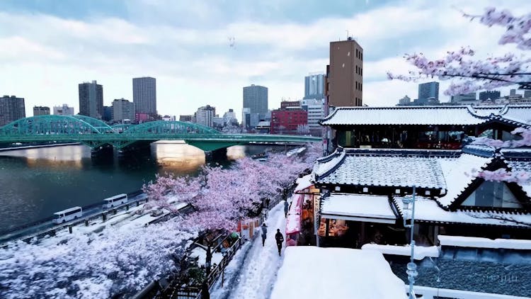 tokyo-in-the-snow